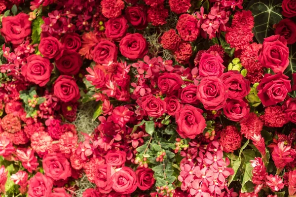 Karışık çiçek aranjmanı, renkli buket çiçek karışık. — Stok fotoğraf
