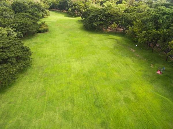 Vista aérea del hermoso parque —  Fotos de Stock