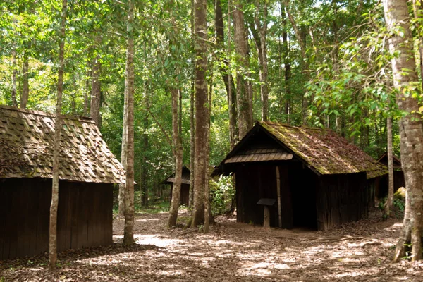 Wooden house in forest