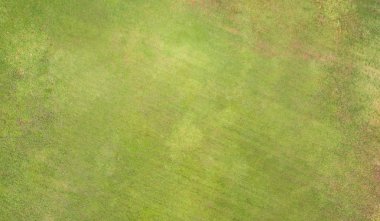doğal çim dokusu