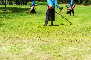 Biçme makinesi işçisi kesme çim yeşil alan