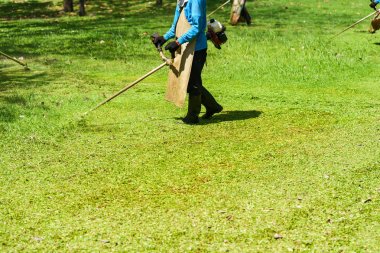 Biçme makinesi işçisi kesme çim yeşil alan