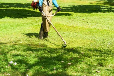 Biçme makinesi işçisi kesme çim yeşil alan