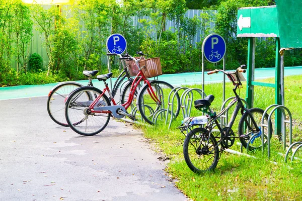 Parcheggio biciclette nel parco — Foto Stock
