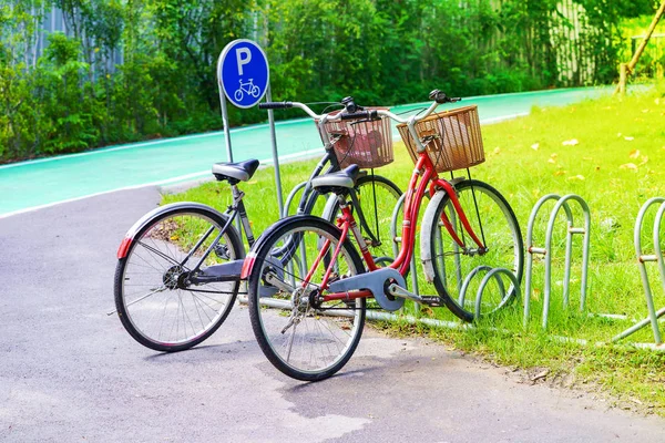 Parking dla rowerów w parku — Zdjęcie stockowe