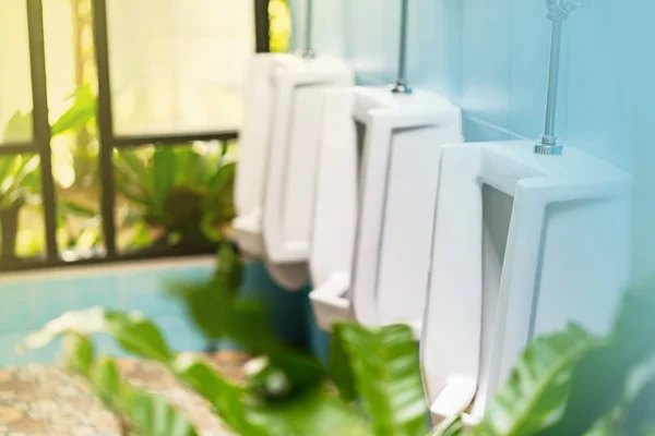 Fila de urinarios blancos en el baño masculino —  Fotos de Stock