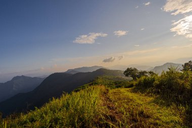 Yüksek açılı bakış açısı dağların ve ormanın üzerinde gün batımı 
