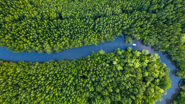 Mangrove Ormanı 'ndaki nehrin üzerindeki teknenin havadan görünüşü. — Stok fotoğraf