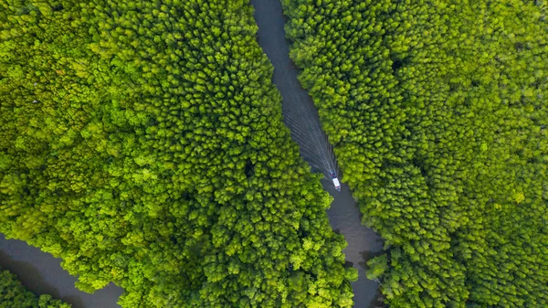 Aerial top view of Boat on the river in Mangrove Forest Conserva