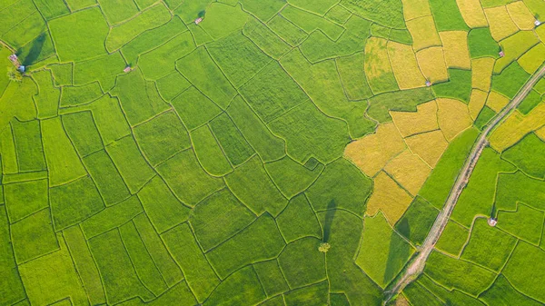 緑と黄色の田んぼの風景の空中ビューが異なる — ストック写真