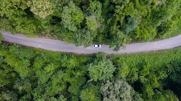 Повітряний вид зверху автомобіль, що проїжджає лісом на заміській дорозі , — стокове фото