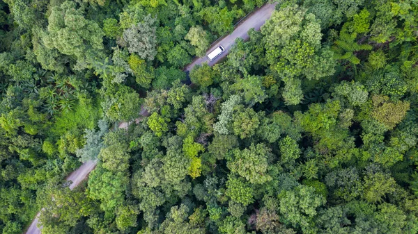 Kırsal yolda ormanın içinden geçen hava manzaralı bir araba., — Stok fotoğraf