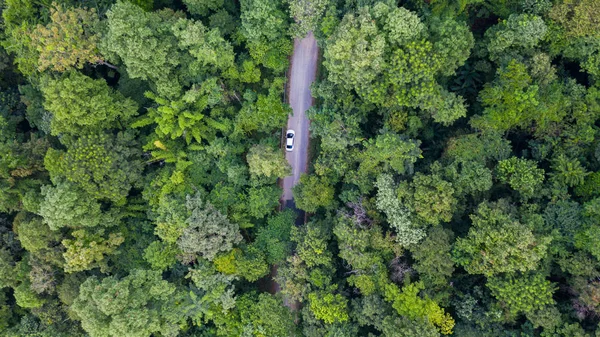 Vista superior aérea coche que conduce a través del bosque en la carretera del país , —  Fotos de Stock
