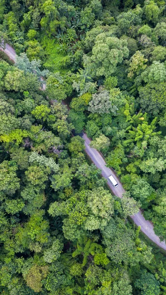 Kırsal yolda ormanın içinden geçen hava manzaralı bir araba., — Stok fotoğraf