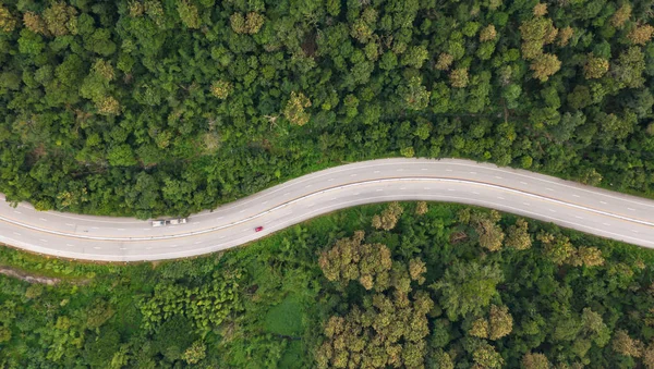 Vista aérea de la carretera de sendero en el bosque, vista desde el dron —  Fotos de Stock