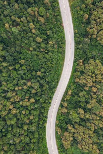 Aerial top view of pathway road in forest, view from drone — Stok fotoğraf