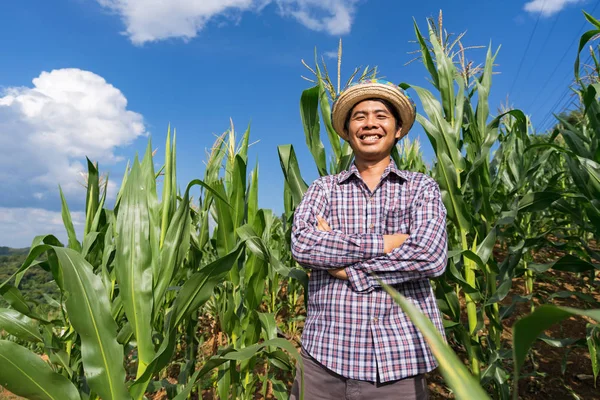 Asiatischer Bauer mit Hut steht auf seinem Hof im Maisfeld unter blu — Stockfoto