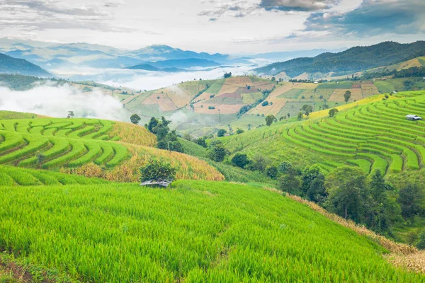 Landscape view of the mountain and rice terraces in the northern — Stock Photo, Image