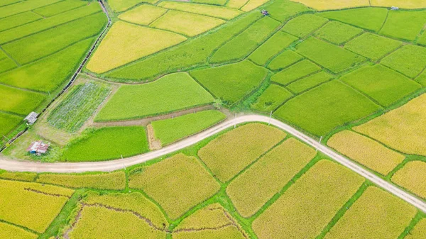 緑と黄色の田んぼの風景の空中ビューが異なる — ストック写真