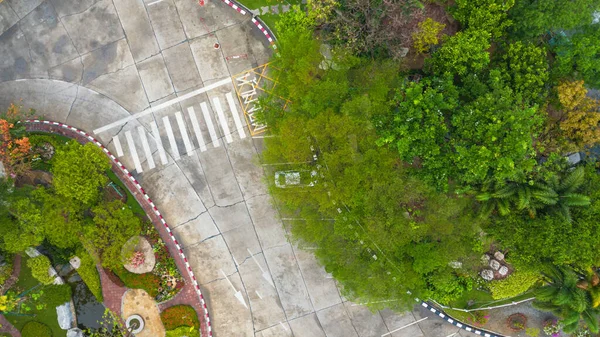 Aerial Photo Top View Pedestrian Crossing Traffic Road Park — Stock Photo, Image