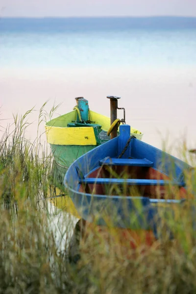 Vieux Bateaux Rames Bois Près Une Jetée Dans Les Roseaux — Photo