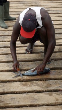 Cape verde Adası sal