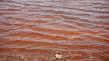 Cape verde Adası sal