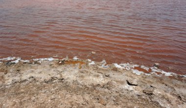 Cape verde Adası sal