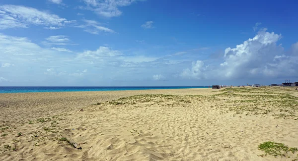 Cape verde Adası sal