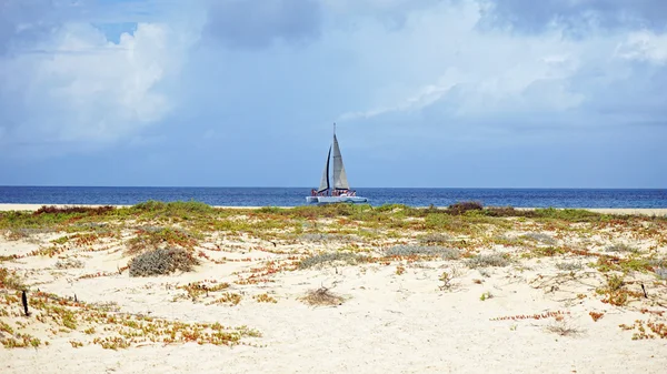 Kapverdské ostrovy ostrov sal — Stock fotografie