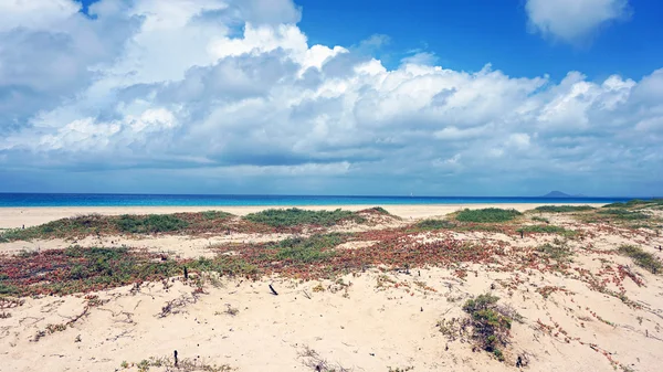 Cabo verde isla sal — Foto de Stock