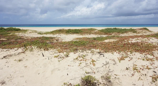 Playa de santa maria — Foto de Stock