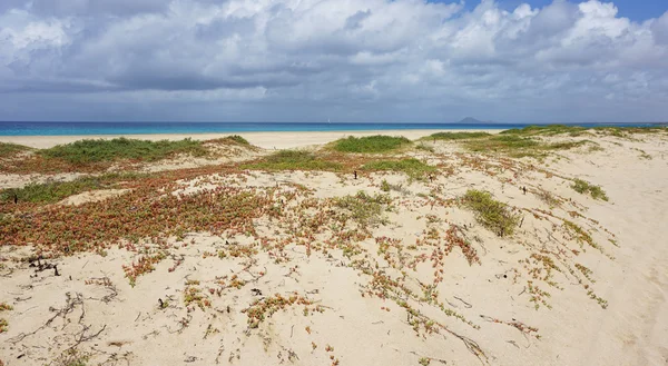 Playa de santa maria — Foto de Stock