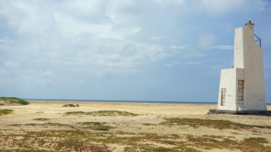 Sal Adası Burnu Verde