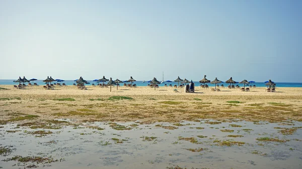 Pulau Sal Tanjung Verde — Stok Foto