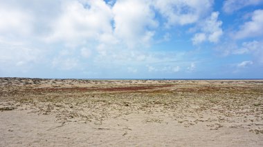 Sal Adası Burnu Verde