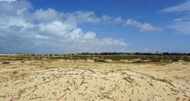 Sal Adası Burnu Verde