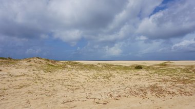 Sal Adası Burnu Verde