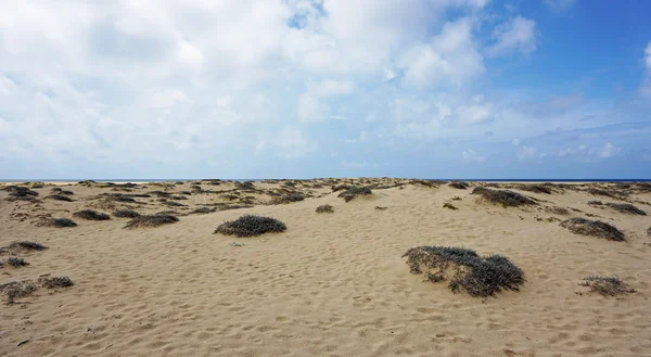 Isla de sal cabo verde — Foto de Stock