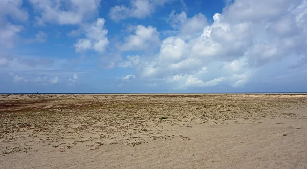 Sal island cape verde — Stock Photo, Image