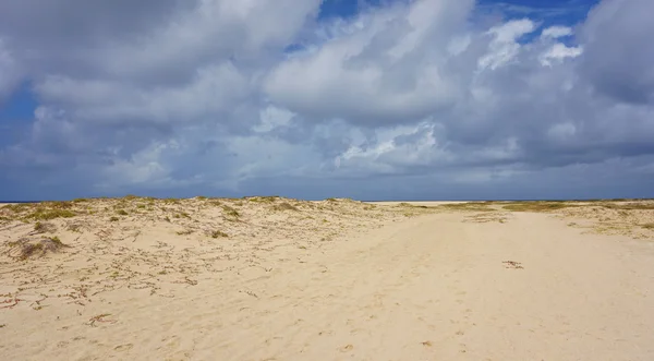 Isola di Sal Capo Verde — Foto Stock