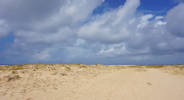 Isla de sal cabo verde — Foto de Stock