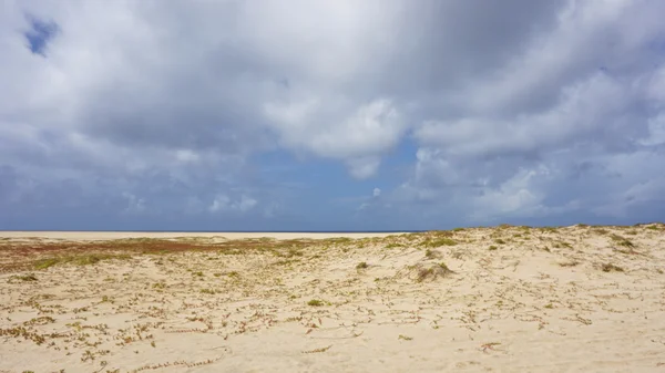 Isla de sal cabo verde — Foto de Stock