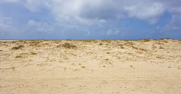 Île de Sal Cap Vert — Photo