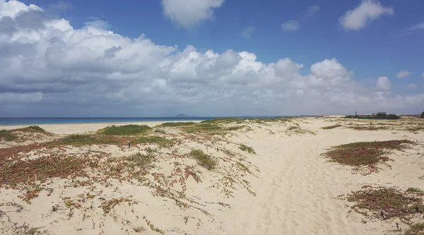 Playa de santa maria — Foto de Stock