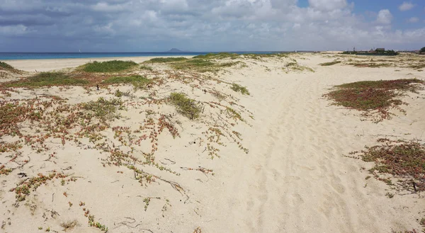 Playa de santa maria — Foto de Stock