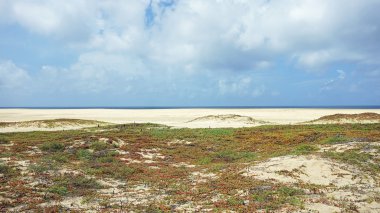 Sal Adası Burnu Verde