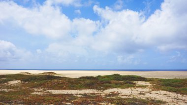 Sal Adası Burnu Verde