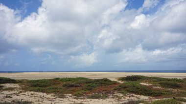 Sal Adası Burnu Verde