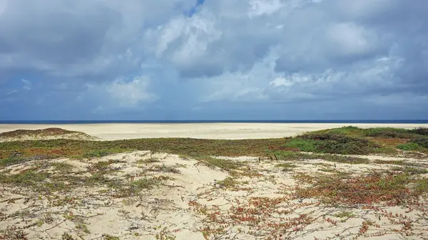 Sal island cape verde — Stock Photo, Image